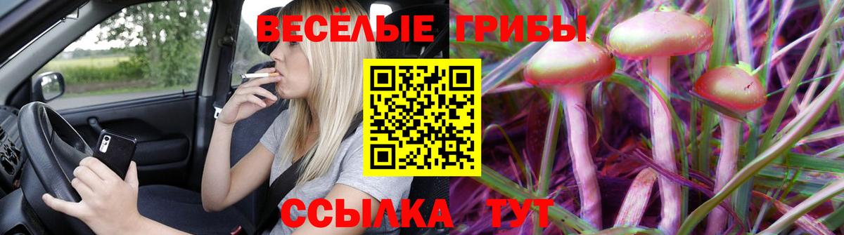 Галлюциногенные грибы мухоморы  Вход с VPN  Курчалой 