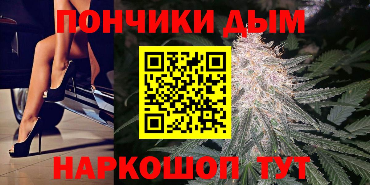 Бошки Шишки THC 21% Курчалой